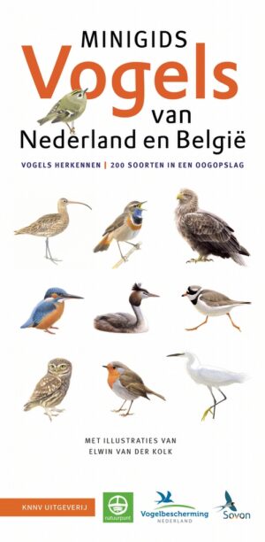 KNNV Minigids Vogels van Nederland en België (3 stuks)