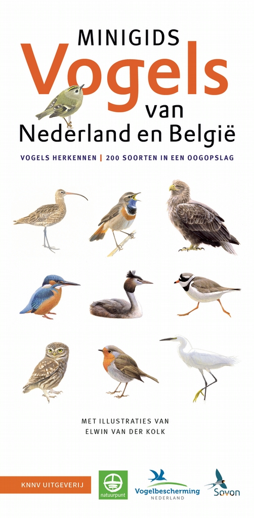 KNNV Minigids Vogels van Nederland en België (3 stuks)