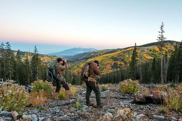 Swarovski ST Balance 14-35x50 - Afbeelding 6