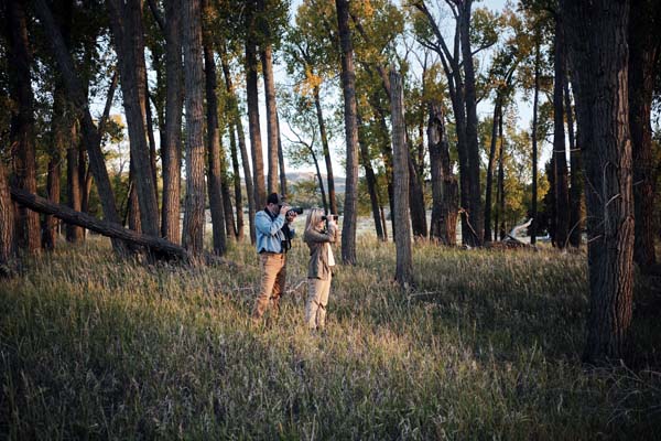 Swarovski ST Balance 14-35x50 - Afbeelding 8