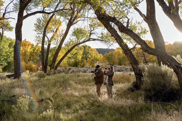 Swarovski ST Balance 14-35x50 - Afbeelding 9