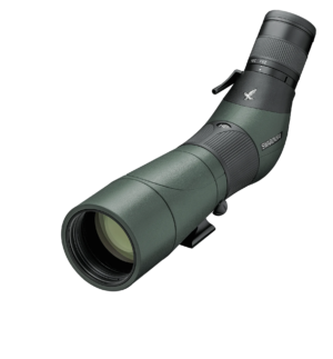 Swarovski ATS-65 + 20-60x Eyepiece