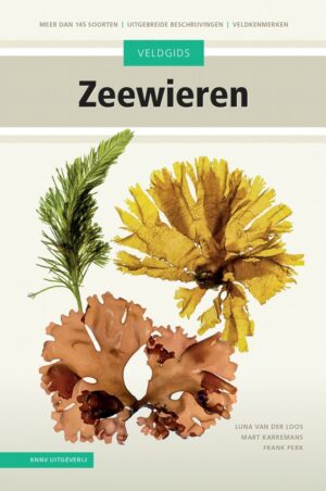 KNNV Veldgids Zeewieren